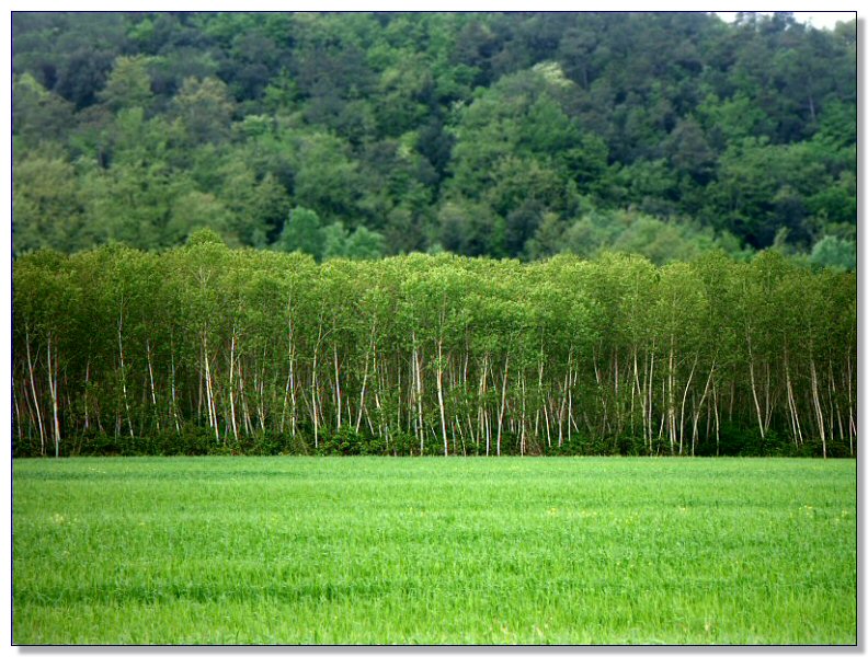 Landscape of Tuscany