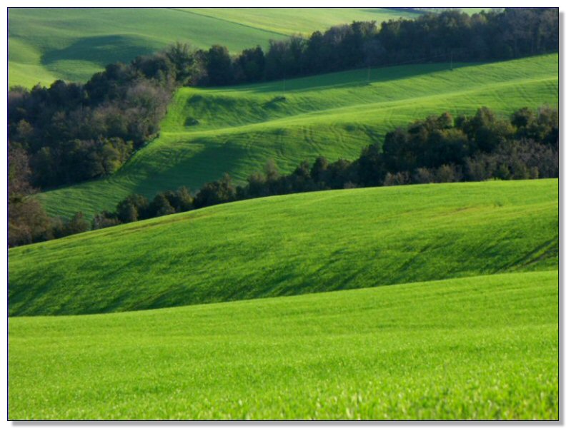 Landscape of Tuscany