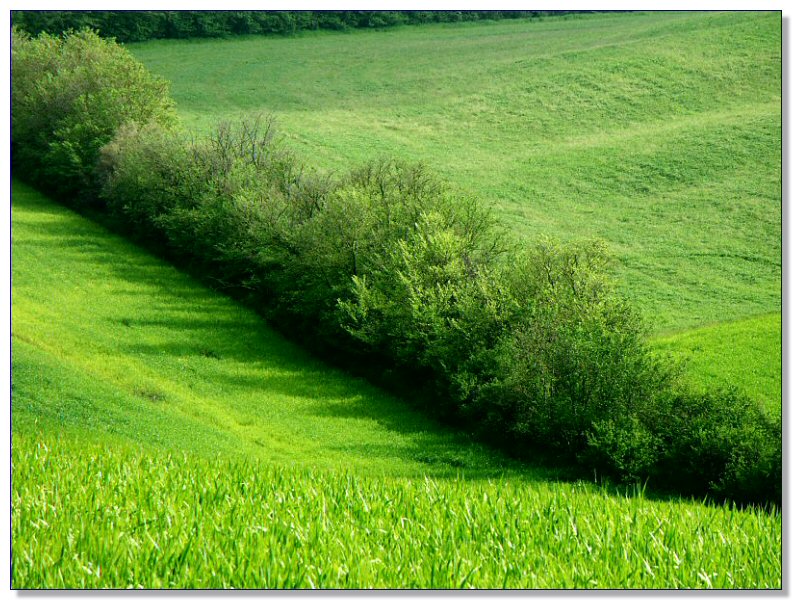 Landscape of Tuscany