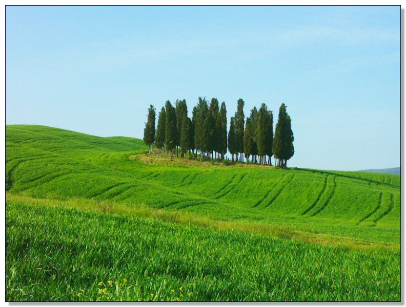 On the way to Cortona