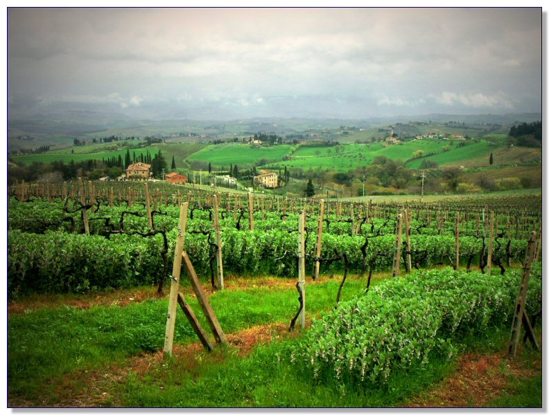 Landscape of Tuscany