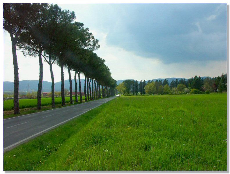 Landscape of Tuscany