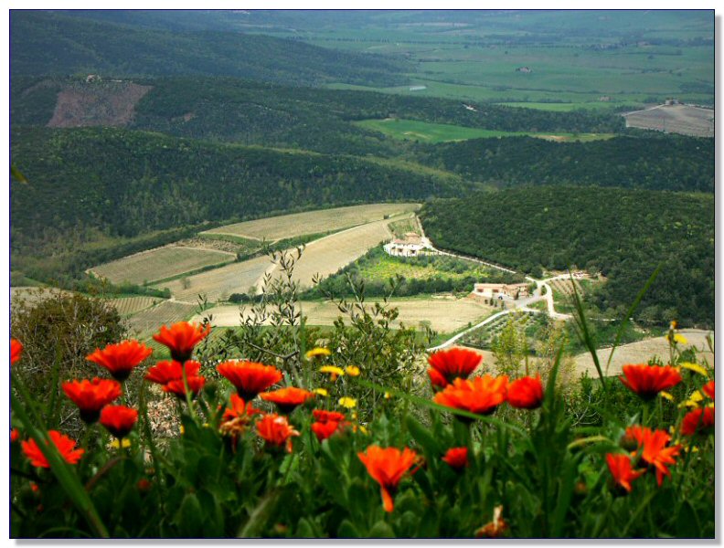 View from Montalcino