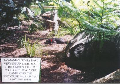 Australia Zoo_Hands Off.jpg