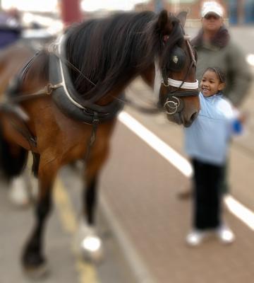 horse n girl