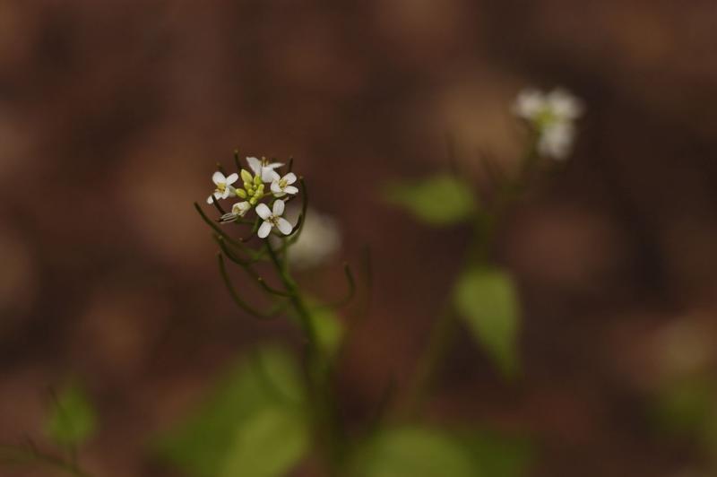 DSC_1922.jpg