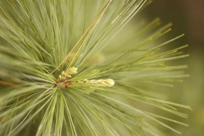 DSC_1912.jpg