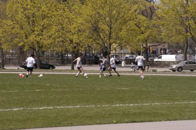 DSC_1787.jpg