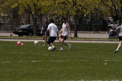 DSC_1800.jpg