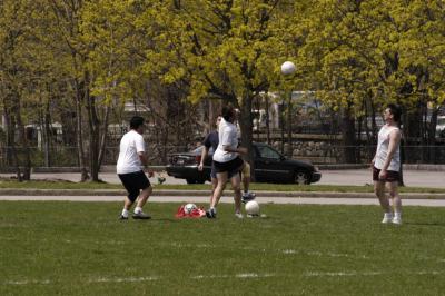 DSC_1803.jpg