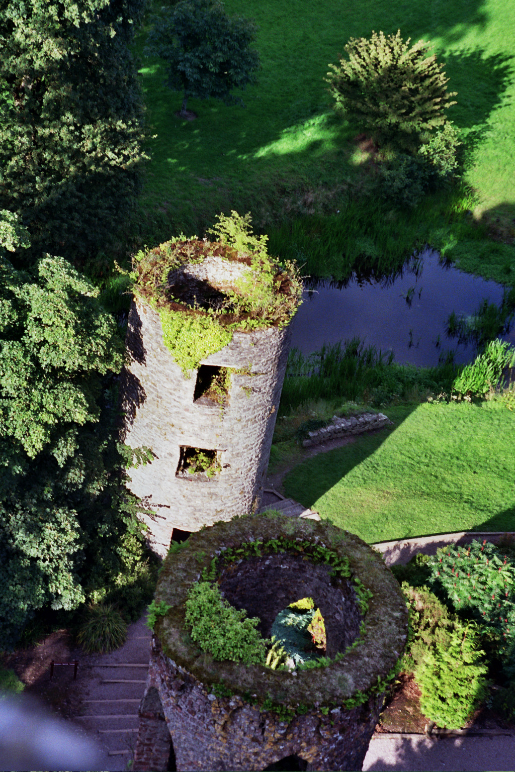 Day-7, Blarney Castle