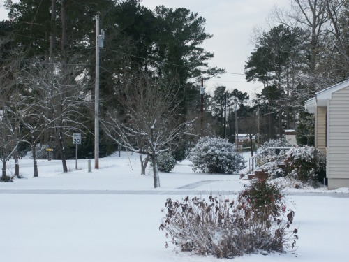 Coastal snow storm Mon. Dec. 20, 2004. Temp. 19 degrees, chill factor 05.