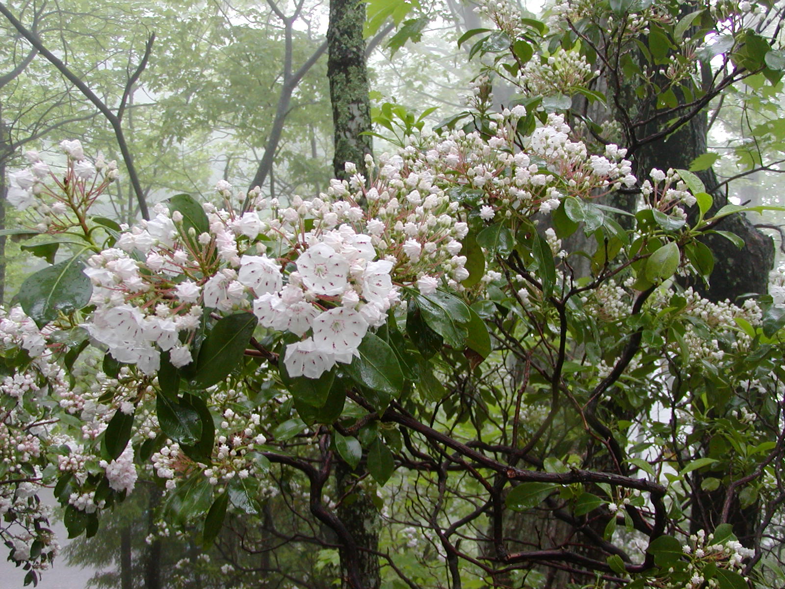 P5200354.JPG
