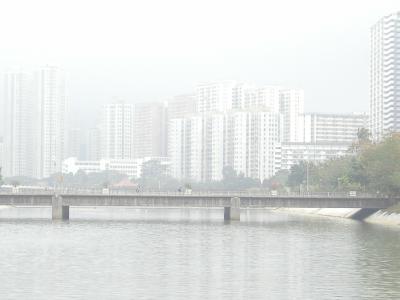 P2240040.JPG