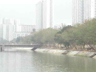P2240041.JPG