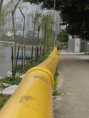 P2240072.JPG