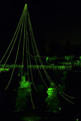 Green Lights of Christmas Decoration