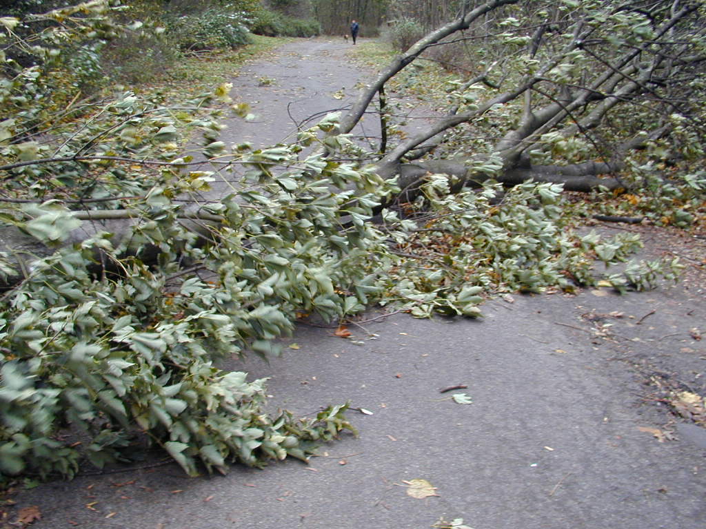 PA271558.JPG