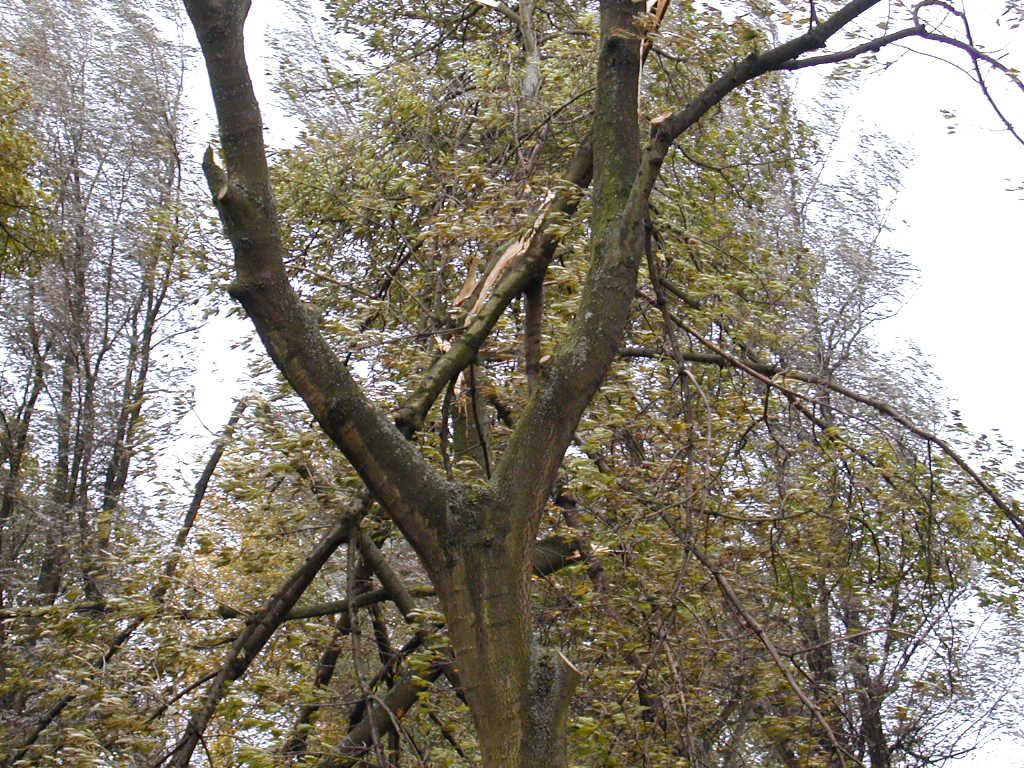 PA271562.JPG