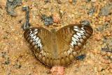 CRW_9620a.jpg