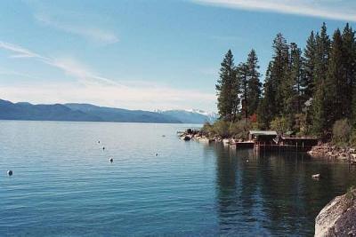 Cove from the Deck