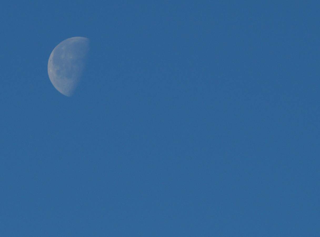 Blue Moon.jpg