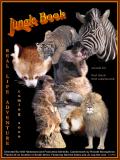 Jungle Book</h3>By Mariette