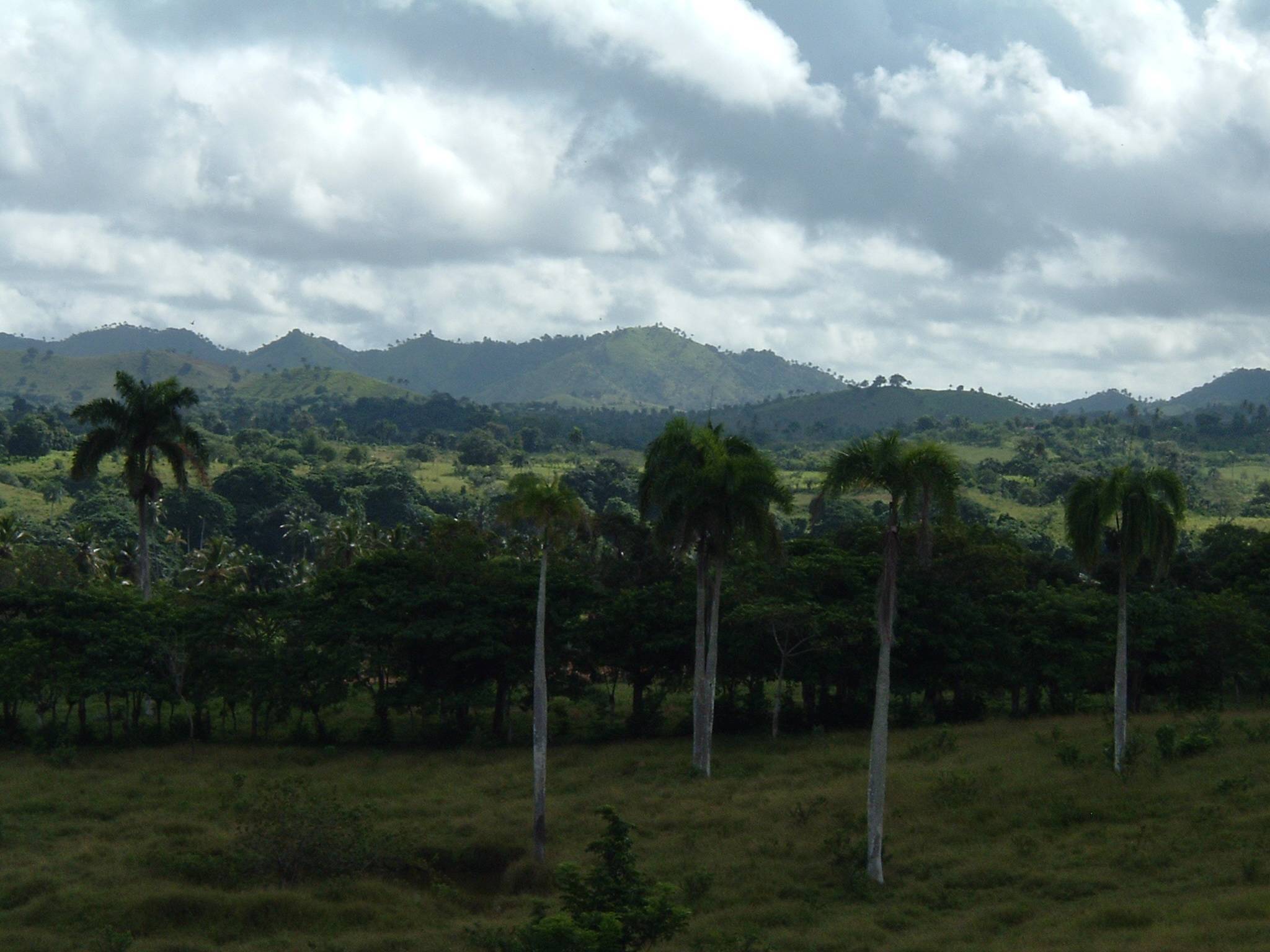 DSCF0103.JPG