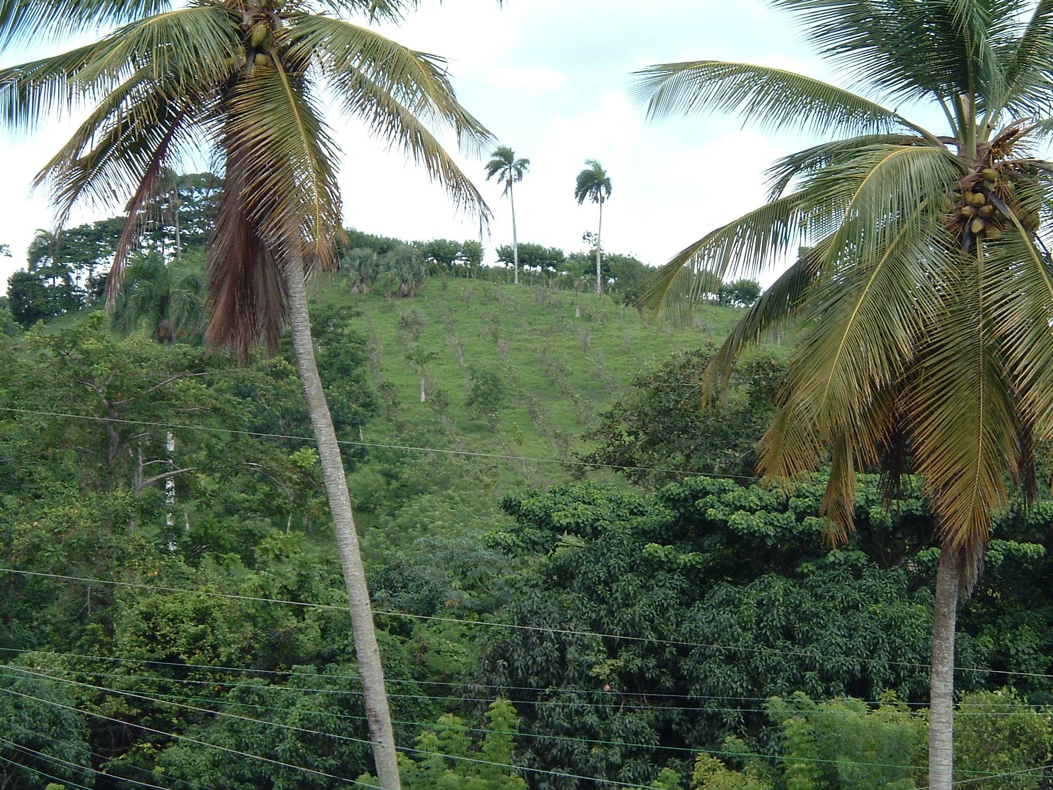 DSCF0107.JPG