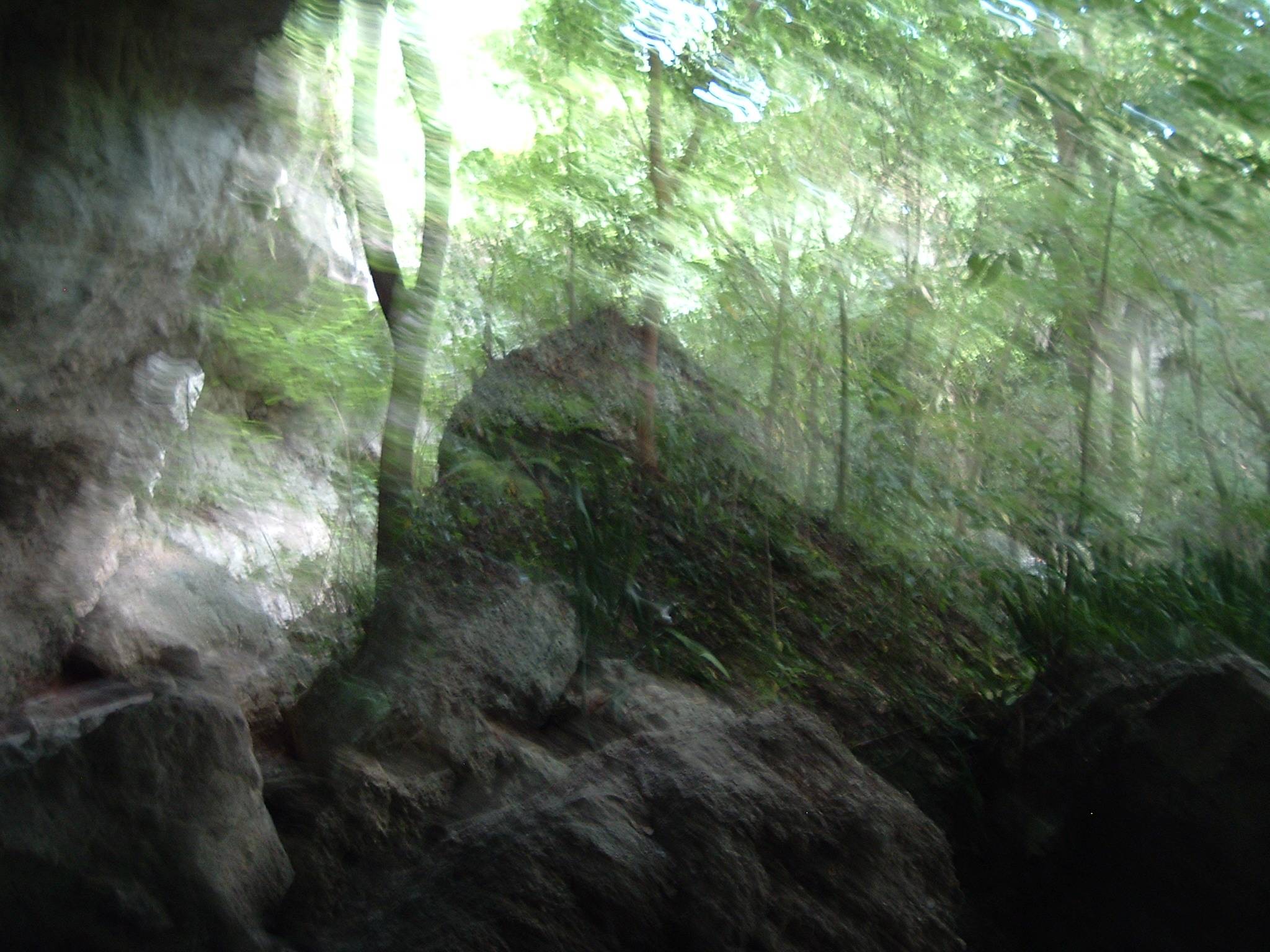 DSCF0130.JPG