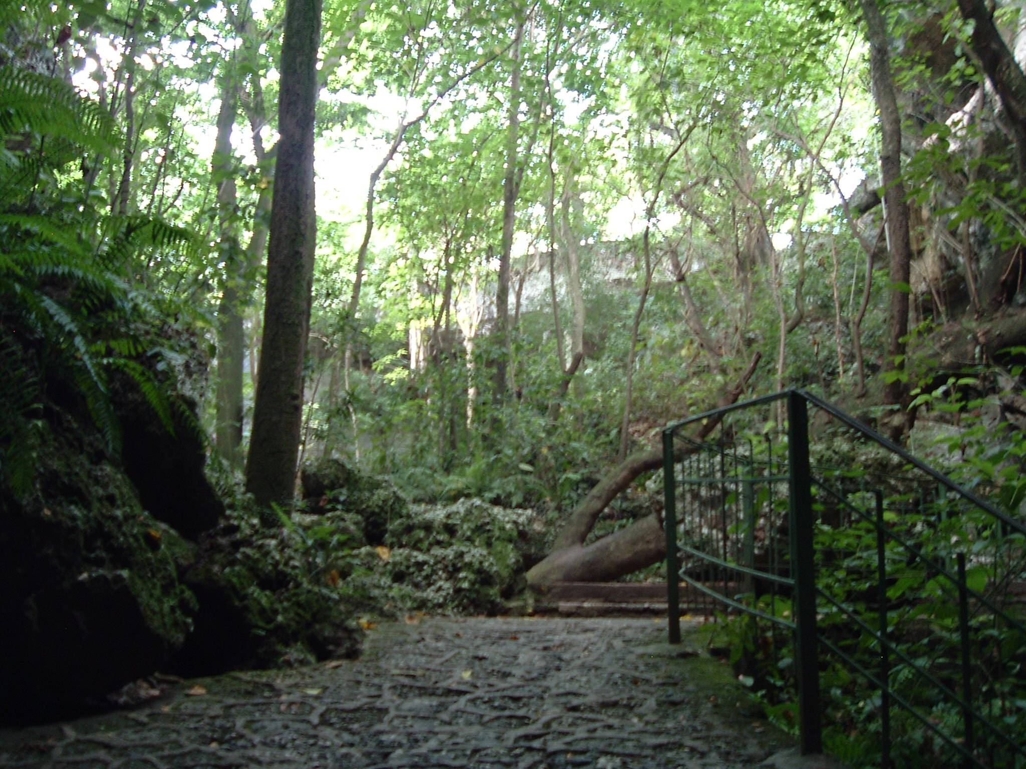 DSCF0132.JPG