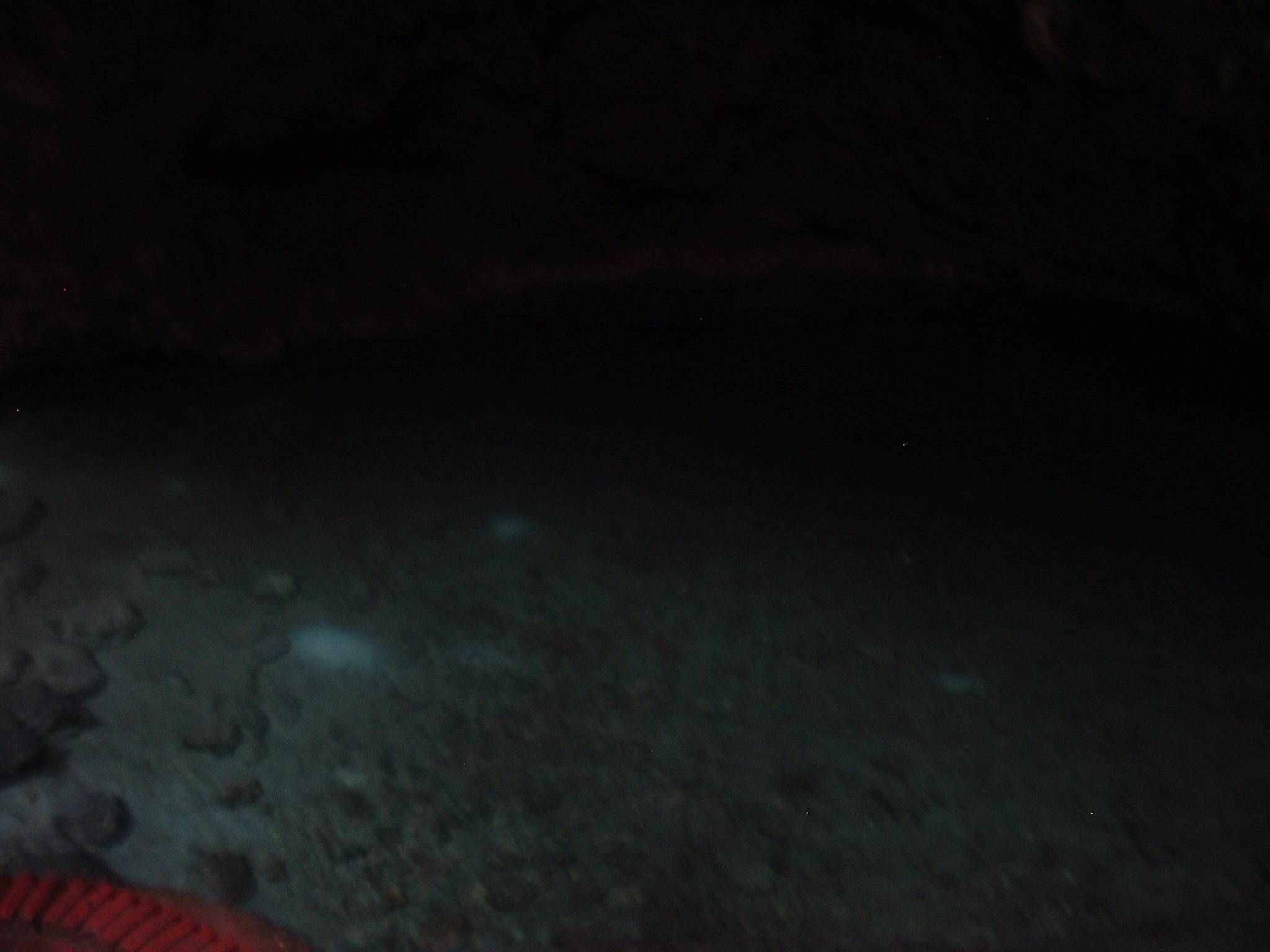 DSCF0146.JPG
