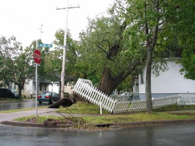 Dublin Street.jpg