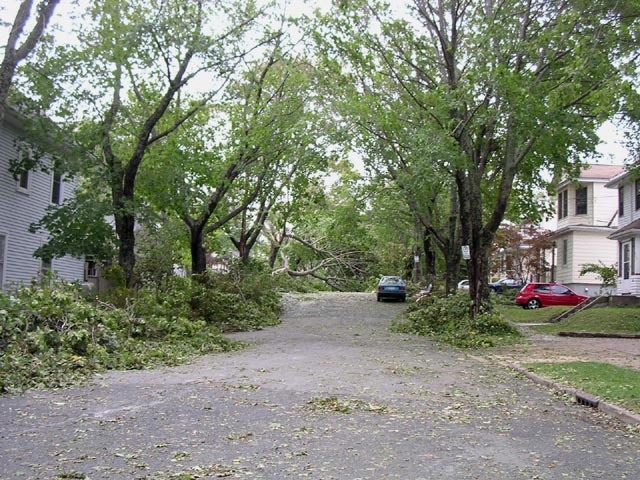 Side Street.jpg