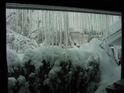 6jan1.jpg