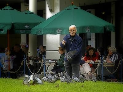 20 Dec - Feeding the Pigeons