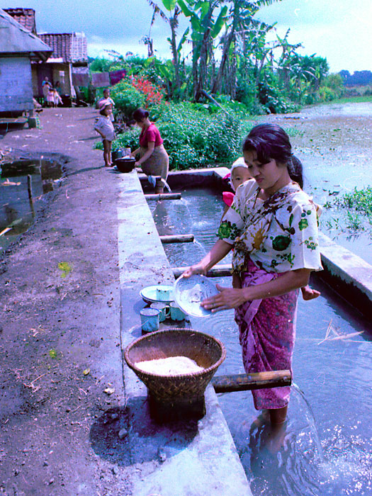 Washing the Dishes - Kamojang, Indonesia