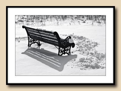 Lonely Bench Revisited