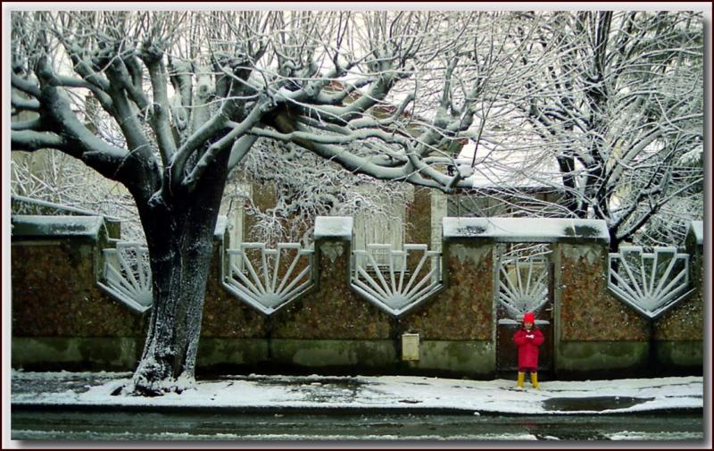 Le petit chaperon rouge