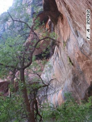 Zion.Bryce.046.jpg