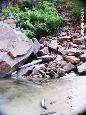 Zion.Bryce.056.jpg