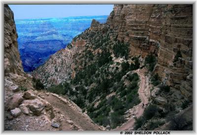 grand-canyon-1.jpg