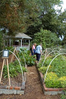 1033_garden.jpg