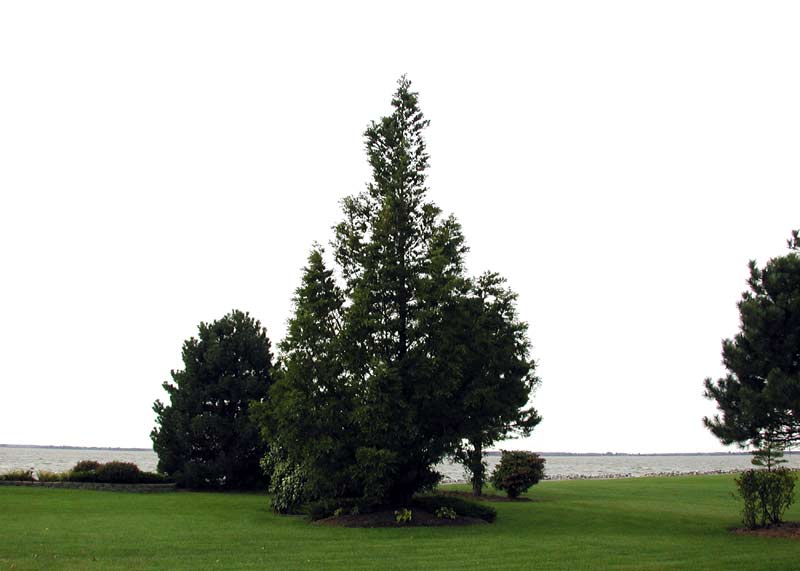 Day, a little overcast, Southwest