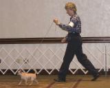 Houston Toy Show, August 21 - 22, 2004, Omni Hotel, Houston, TX