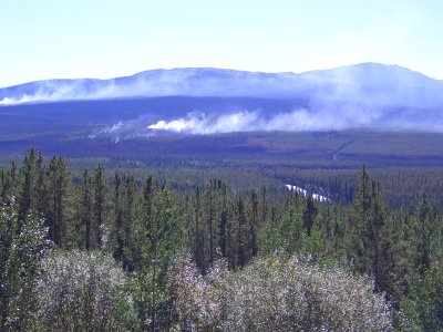 We drove past this forest fire in the Yukon Territory.