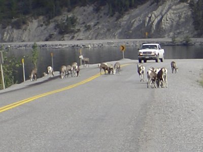 u23/rackwe/upload/33061605.017OntheroadfromLiardHotSpringstoFortNelson.jpg