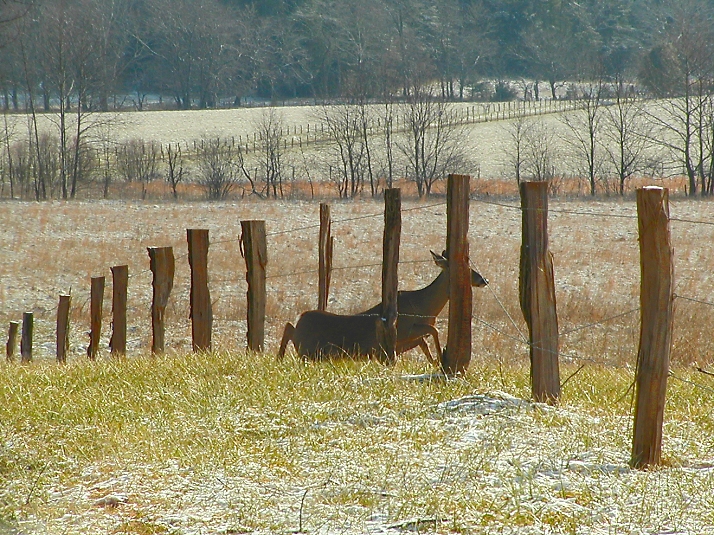 JPG 2 Under M P2090056.jpg