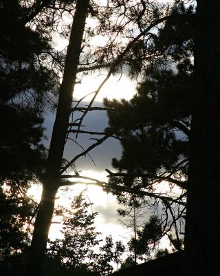IMG_9694-final.jpg