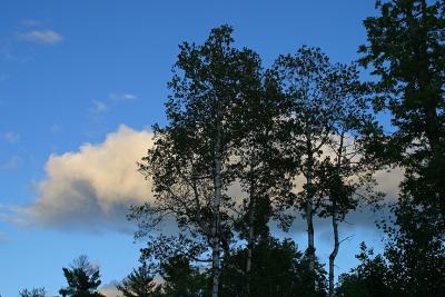 IMG_9698-final.jpg